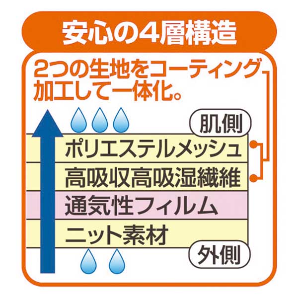 さわやか安心ショーツ2色4枚組(吸水パッド2枚付き)　L(ヒップ92～100cm)